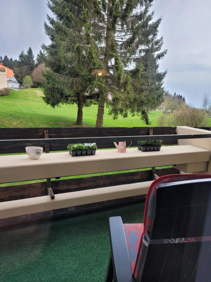 Ryan Apartament Mit Netflix Sankt Englmar Exterior foto