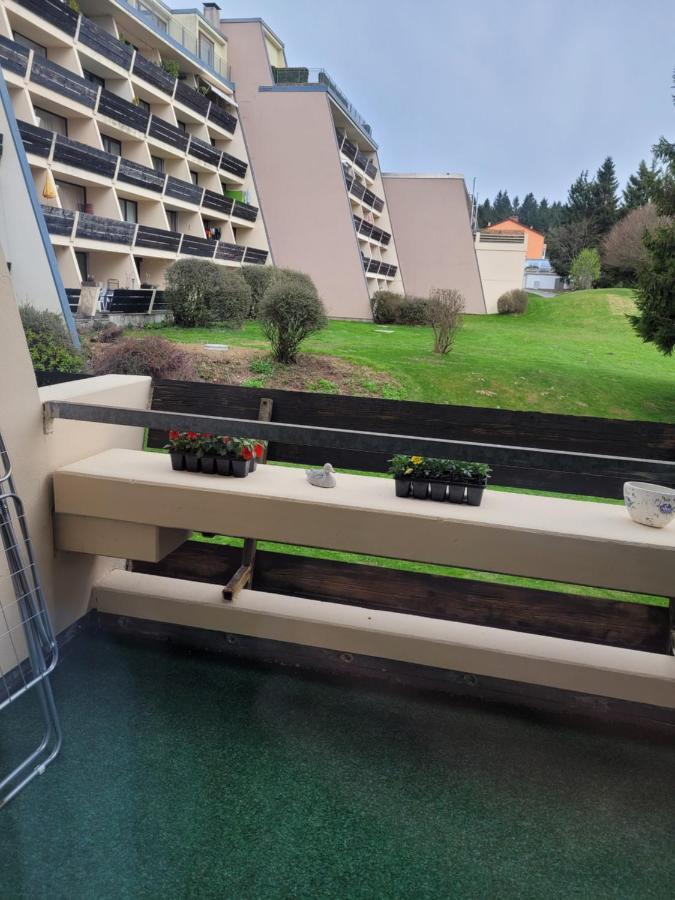 Ryan Apartament Mit Netflix Sankt Englmar Exterior foto